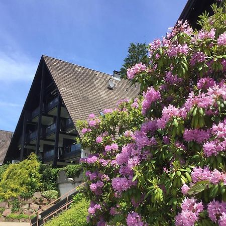 Panorama Point Apartman Sasbachwalden Kültér fotó