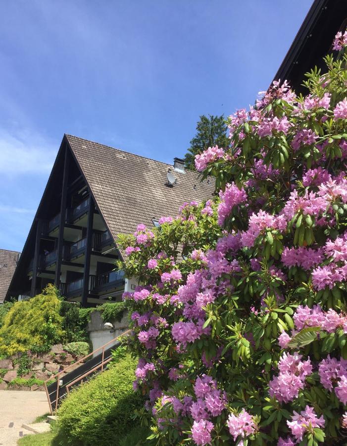 Panorama Point Apartman Sasbachwalden Kültér fotó